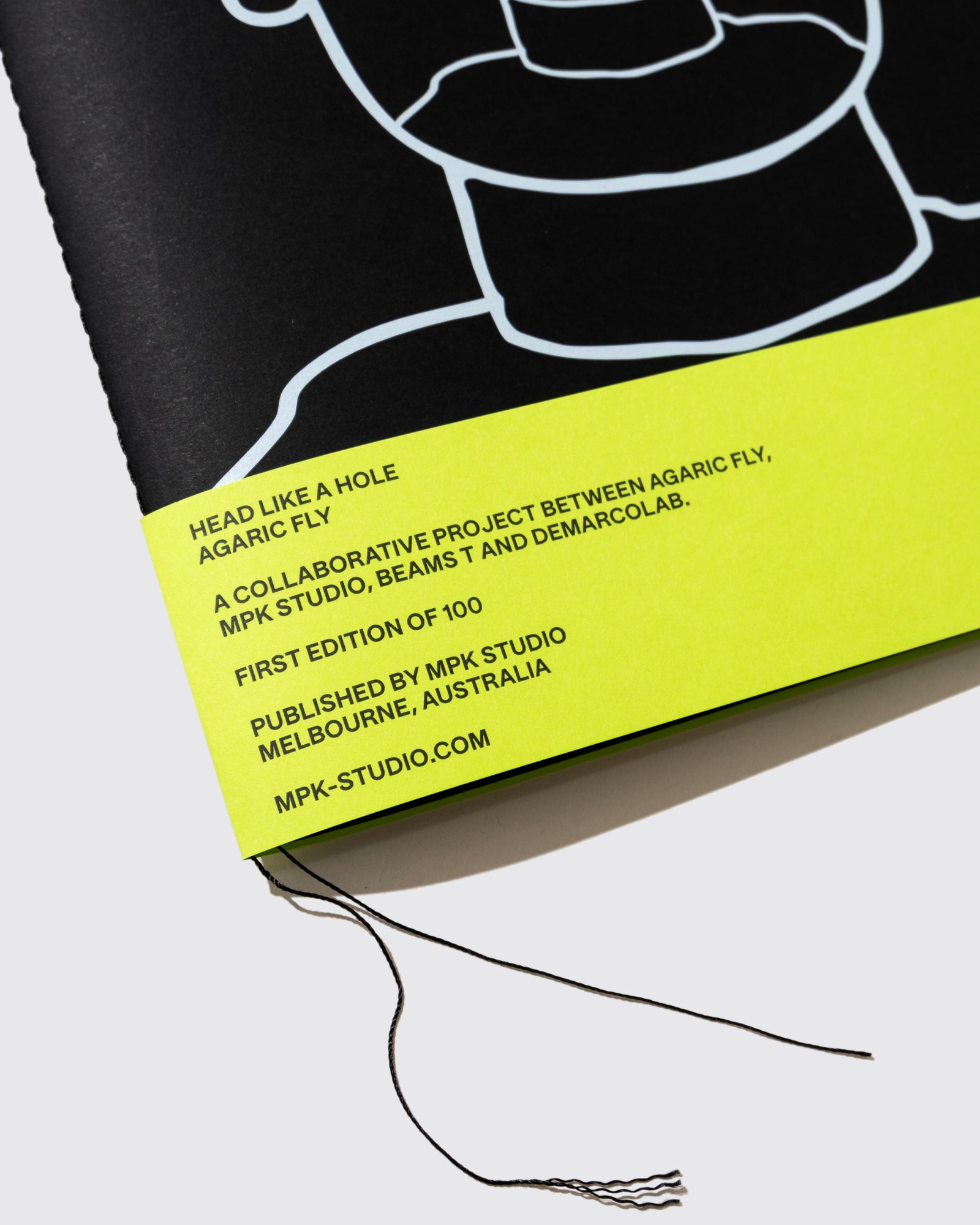 HEAD LIKE A HOLE PUBLICATIONS