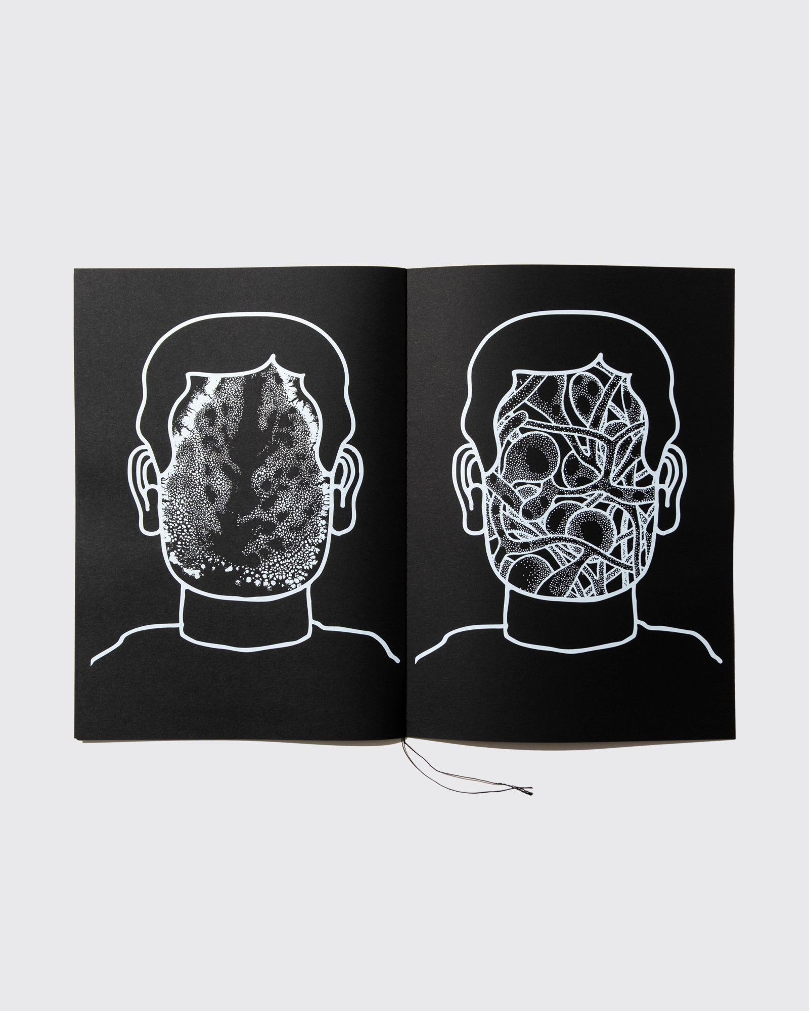HEAD LIKE A HOLE PUBLICATIONS