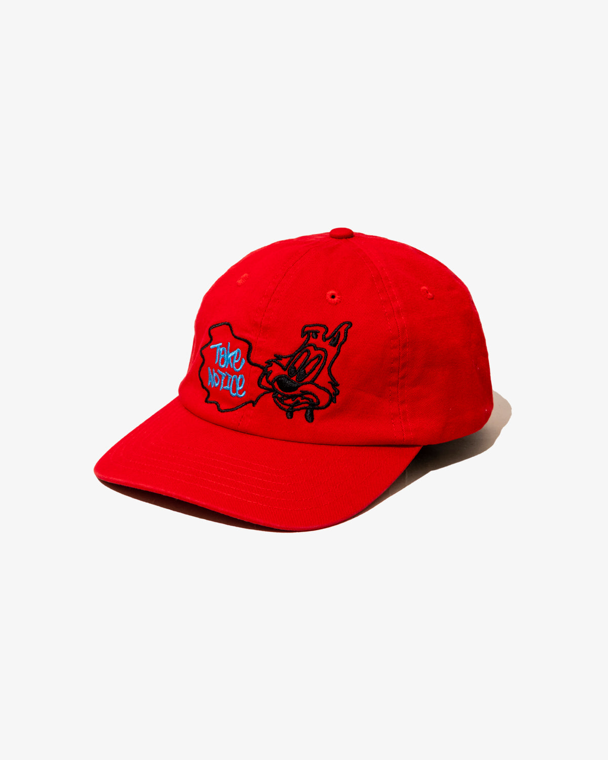 TAKE NOTICE CAP