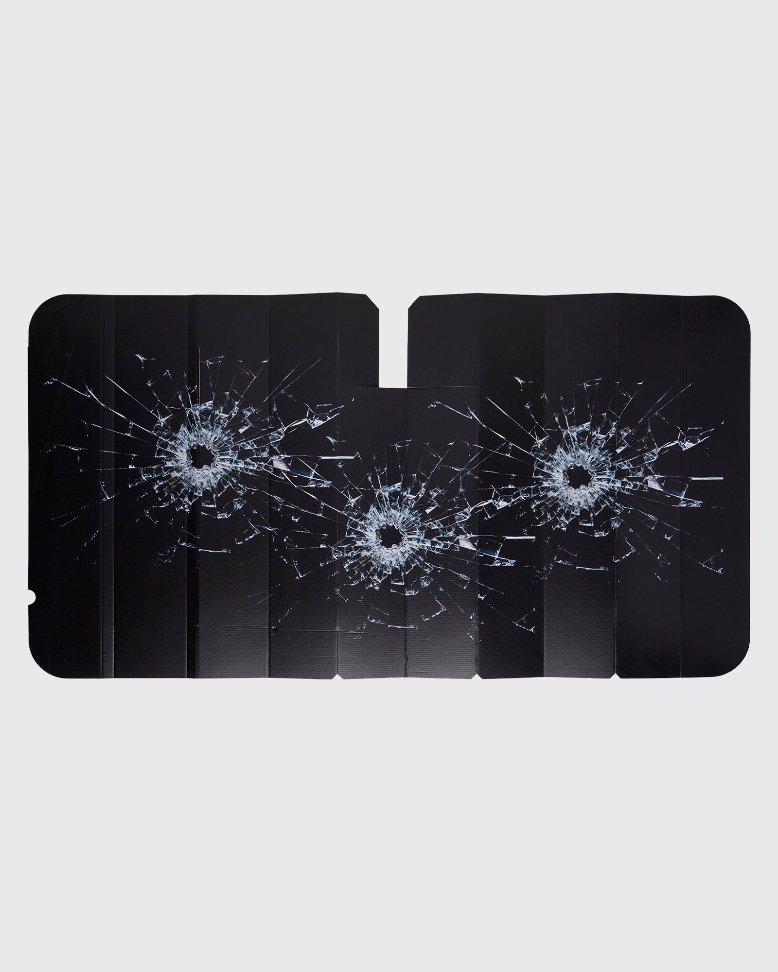 CALI DEWITT WINDSHIELD VISOR