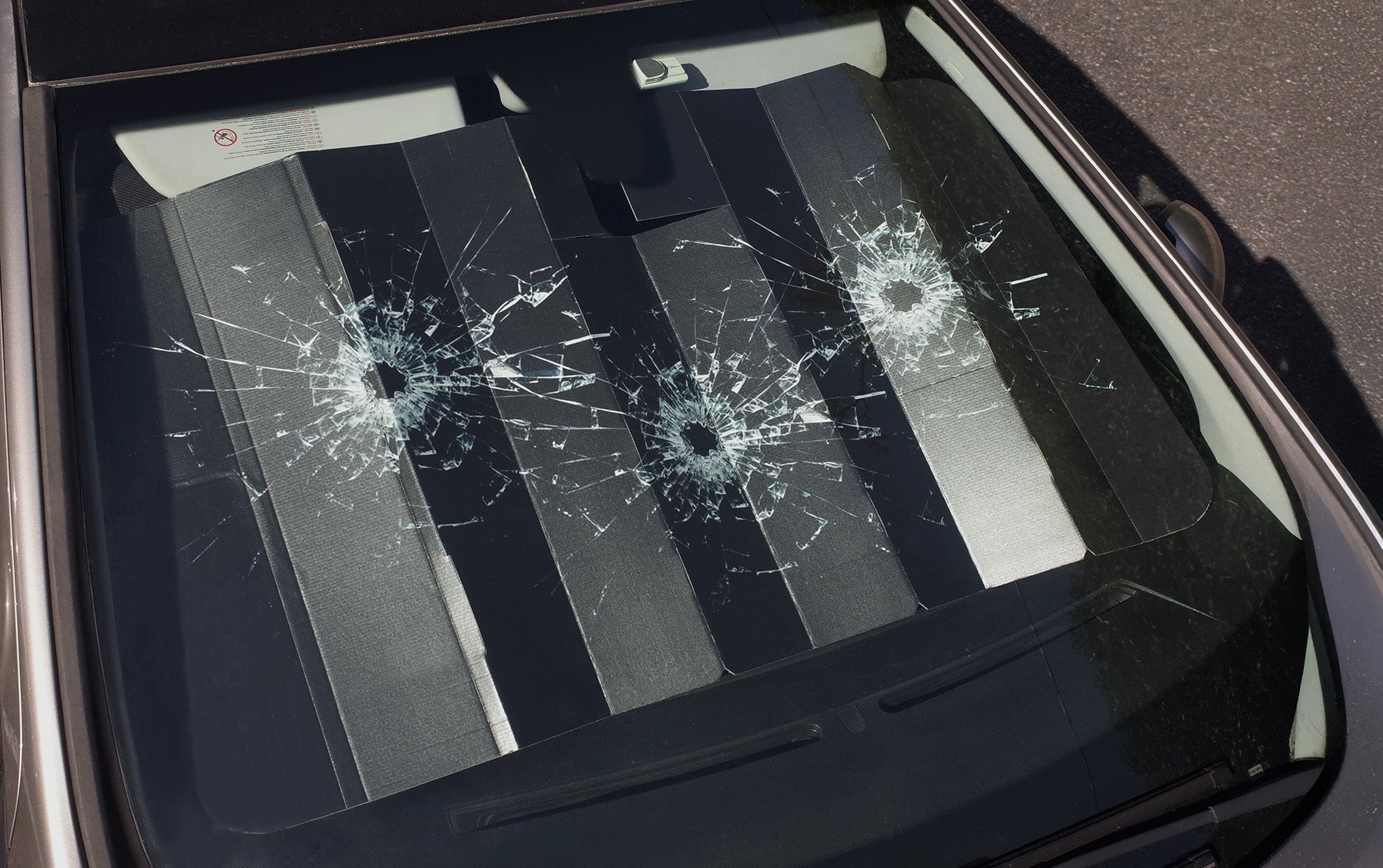 CALI DEWITT WINDSHIELD VISOR