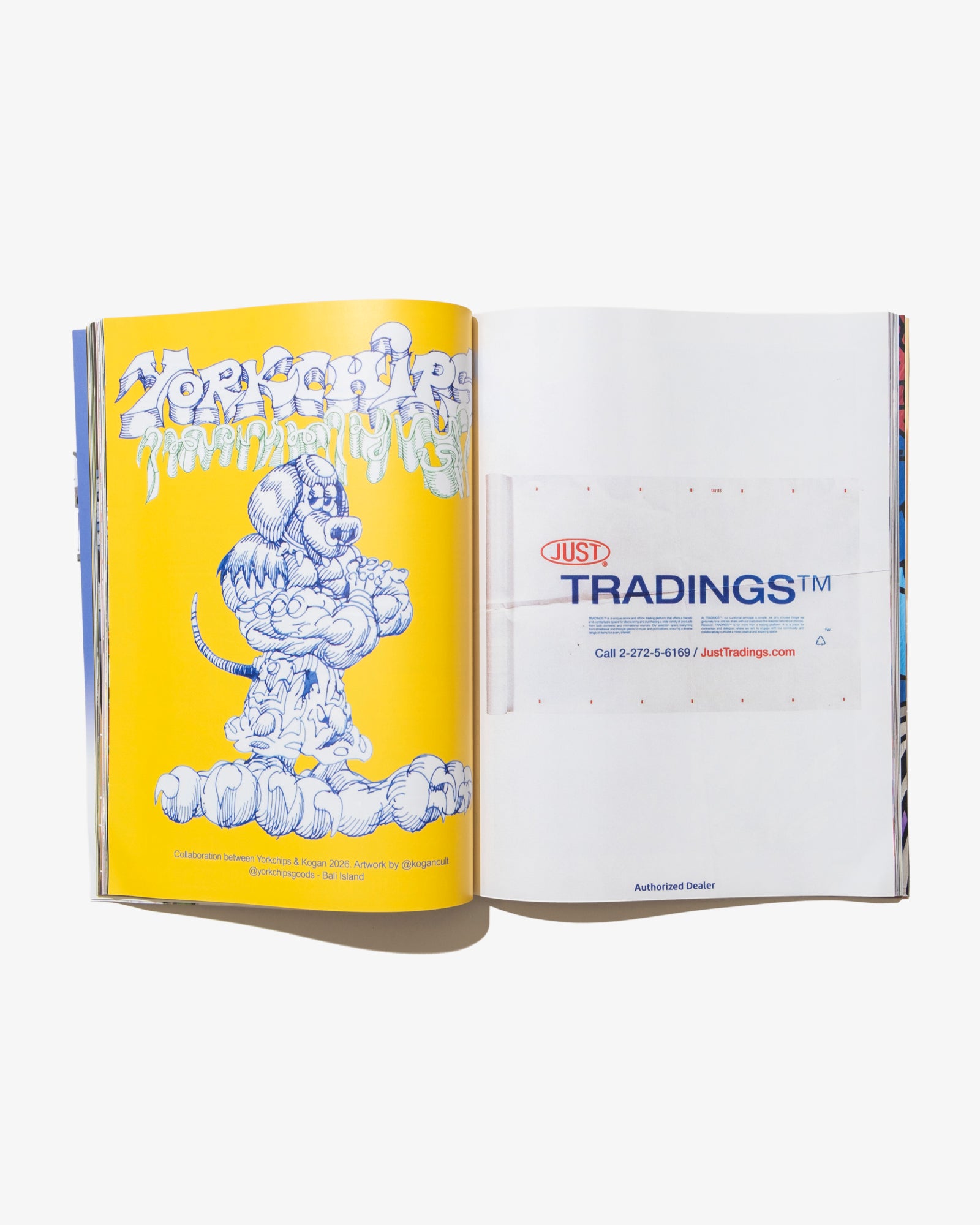 ISSUE 8