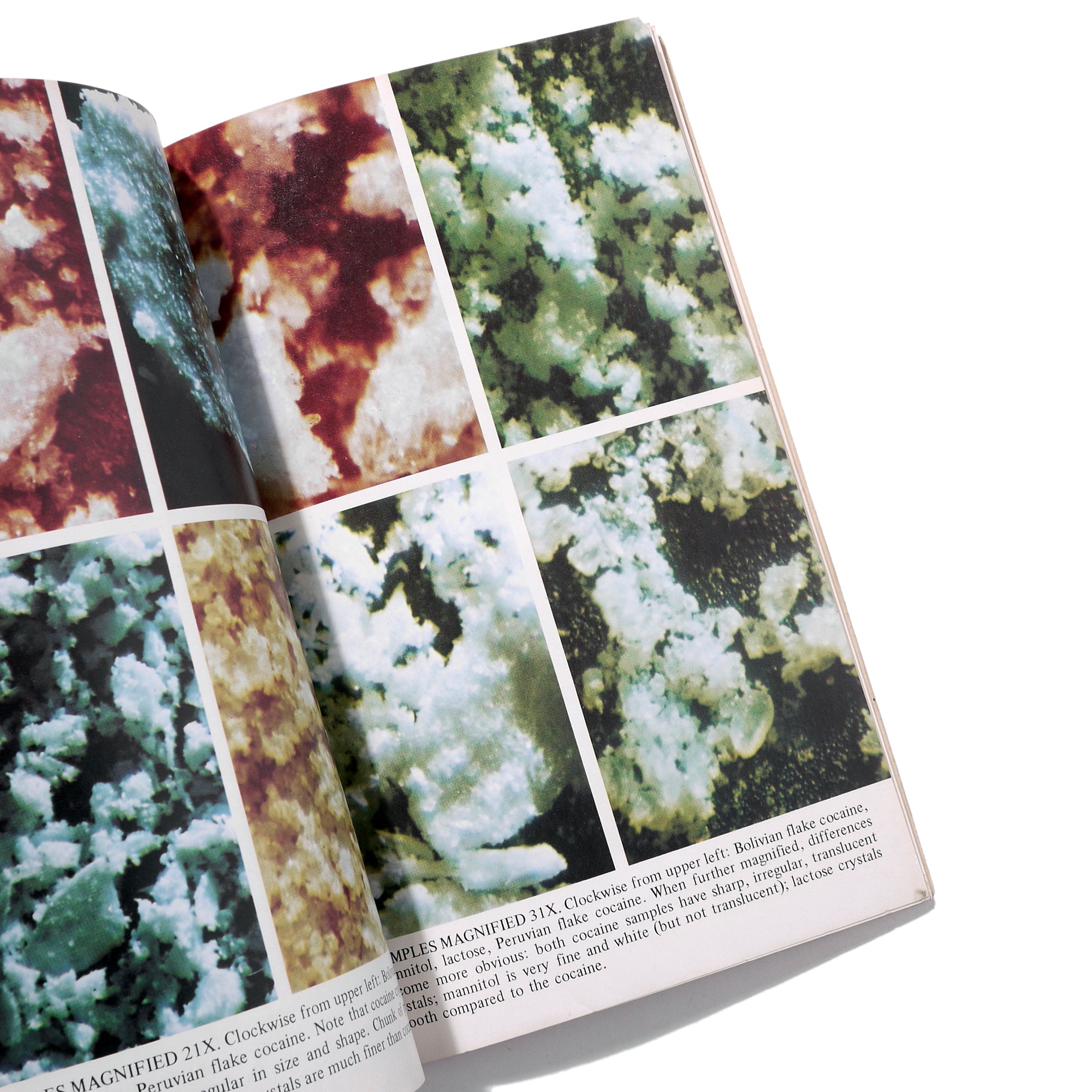 COCAINE CONSUMER'S HANDBOOK